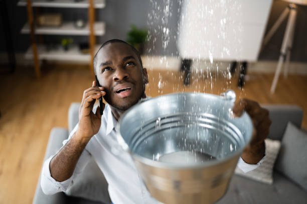 Best Water damage contractors near me  in Bayou Vista, LA