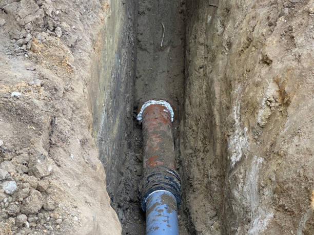Best Flood restoration services  in Bayou Vista, LA