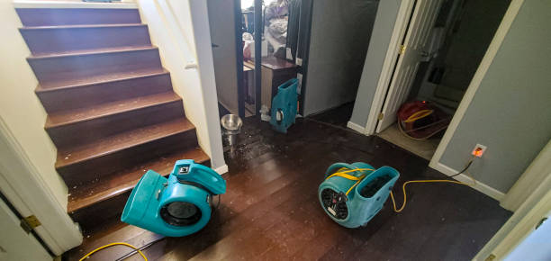 Best Ceiling water damage repair  in Bayou Vista, LA