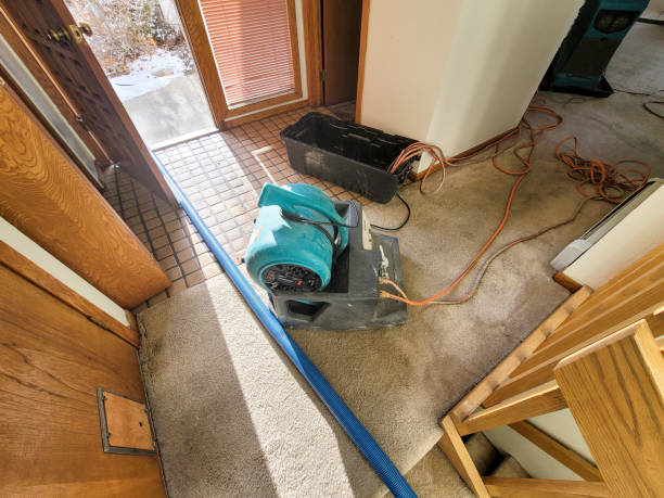 Water damage restoration mold remediation in Bayou Vista, LA