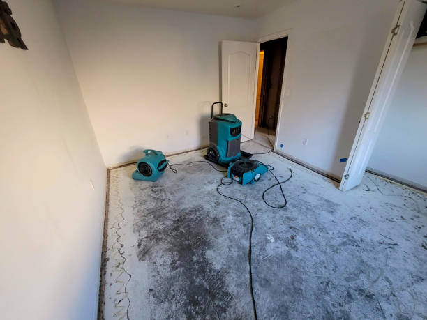 Best Fire Damage Restoration  in Bayou Vista, LA