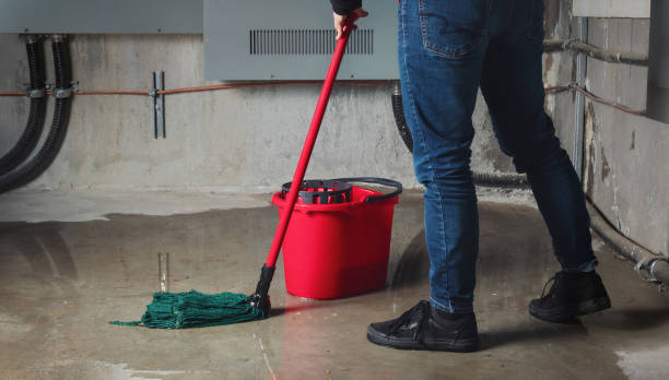 Best Water damage restoration mold remediation  in Bayou Vista, LA