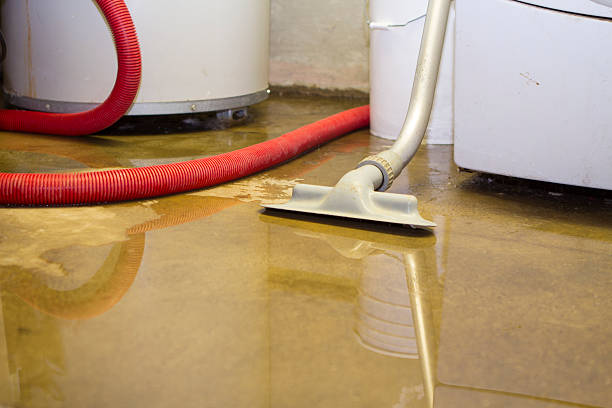 Best 24-hour water damage restoration  in Bayou Vista, LA