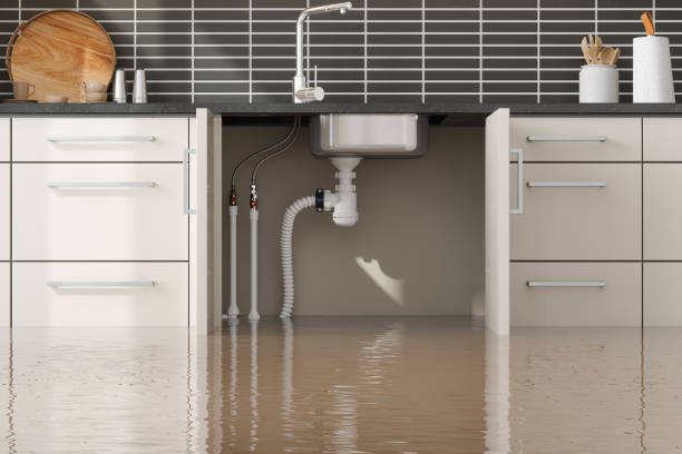 Best Water damage restoration near me  in Bayou Vista, LA